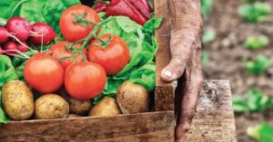 Sustainable Farming