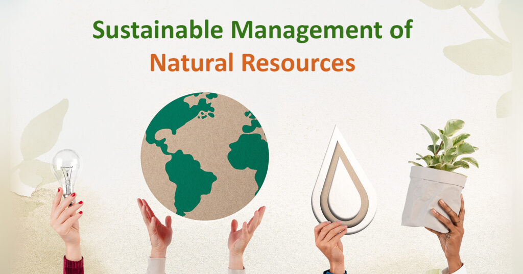 Sustainable Management
