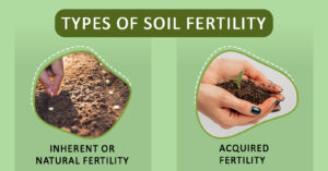 Soil Fertility