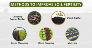 Soil Fertility