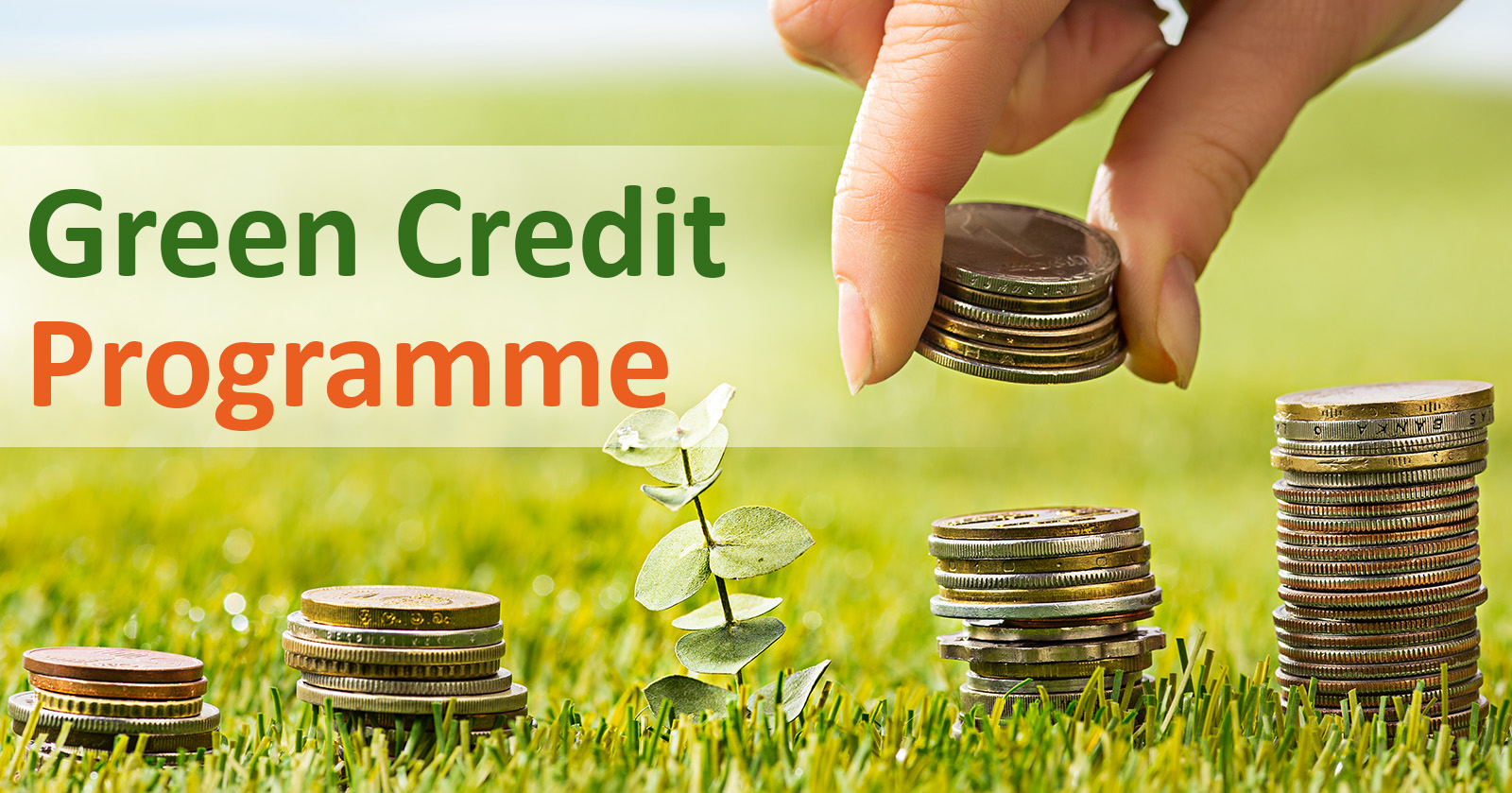 Green Credit Program