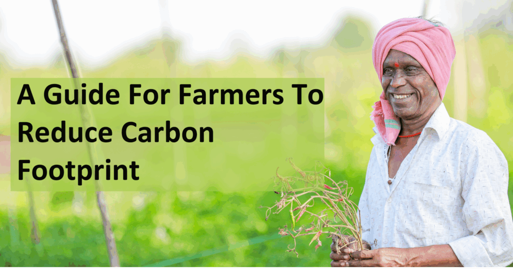 Carbon Footprint